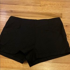 Free people high waisted shorts